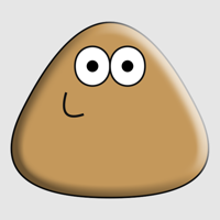 Pou - Zakeh Limited Cover Art